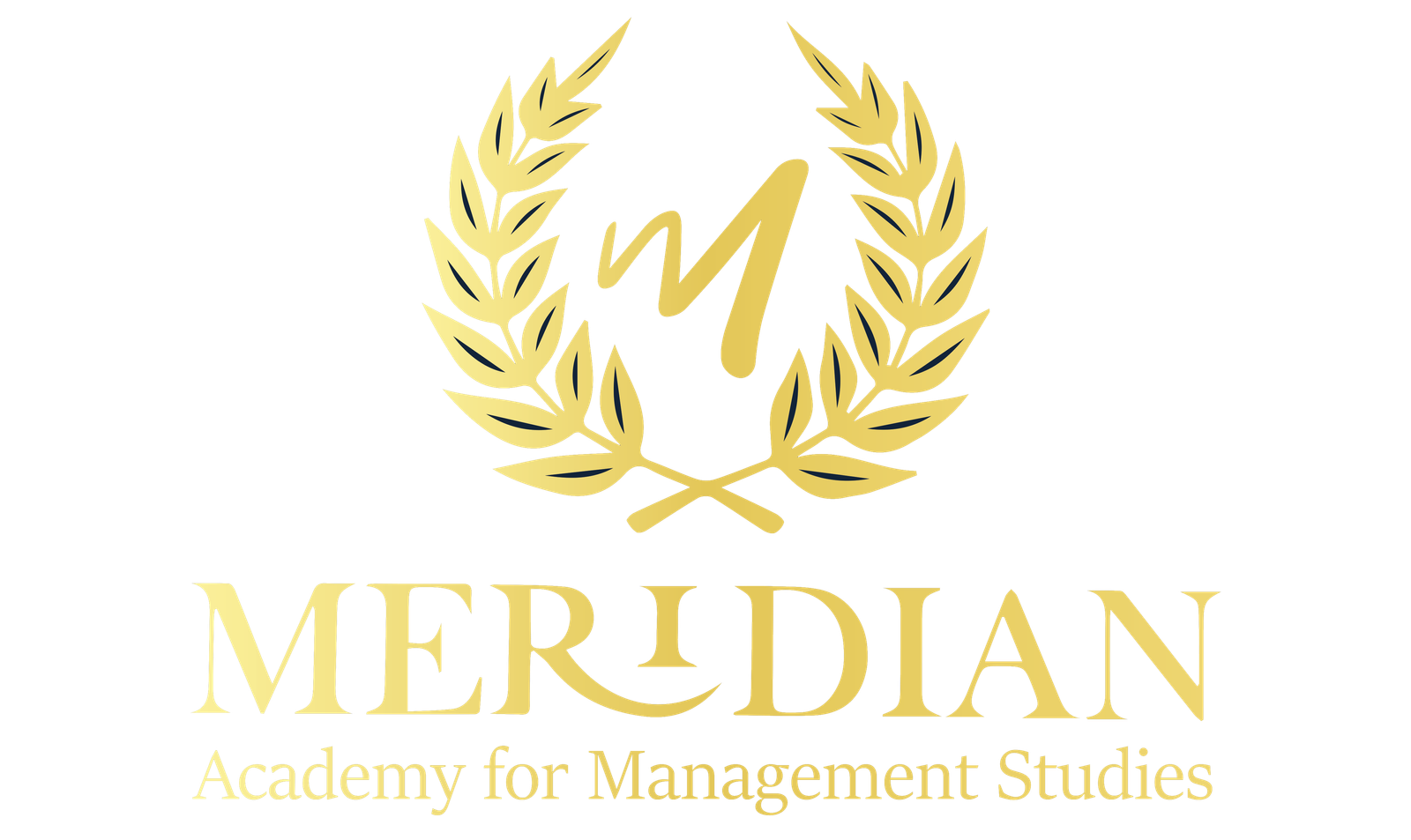 about-meridian-academy